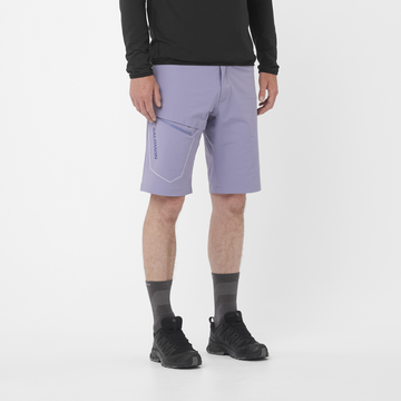 Wayfarer Shorts M